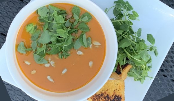 Butternut Squash Soup with Sunflower & Pea Microgreens - GiantGorillaGreens