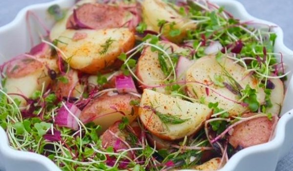 Not Your Average Potato Salad - GiantGorillaGreens